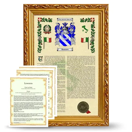 Biancato Framed Armorial History and Symbolism - Gold