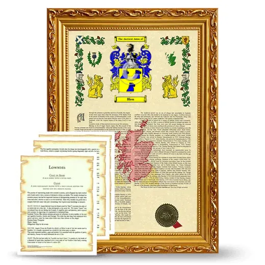 Bleu Framed Armorial History and Symbolism - Gold