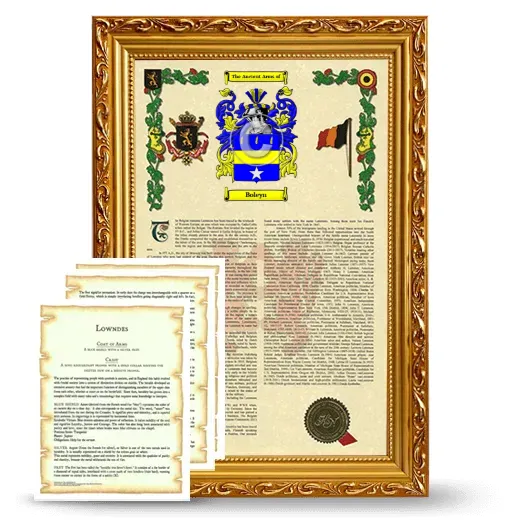 Boleyn Framed Armorial History and Symbolism - Gold