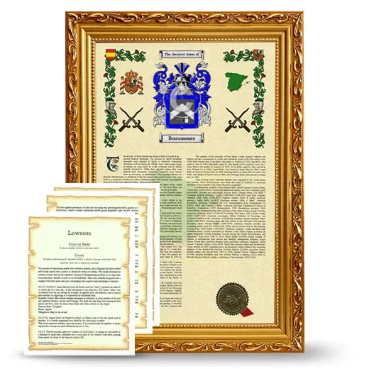 Bracamonte Framed Armorial History and Symbolism - Gold