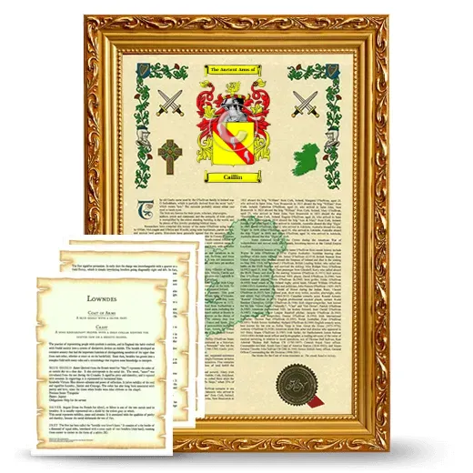 Caillin Framed Armorial History and Symbolism - Gold