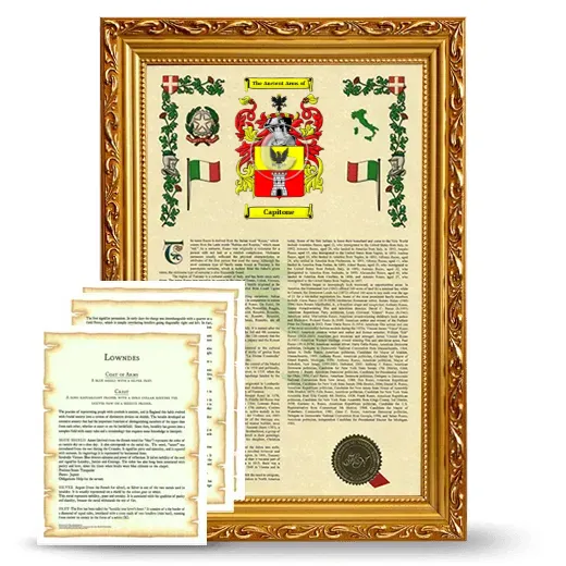 Capitone Framed Armorial History and Symbolism - Gold