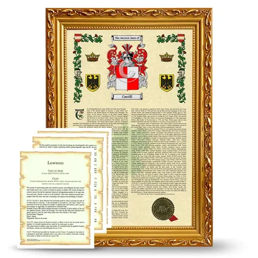Castill Framed Armorial History and Symbolism - Gold
