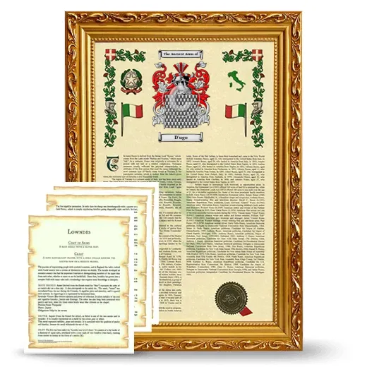 D'ugo Framed Armorial History and Symbolism - Gold