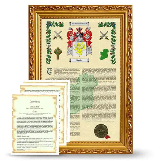 Davin Framed Armorial History and Symbolism - Gold
