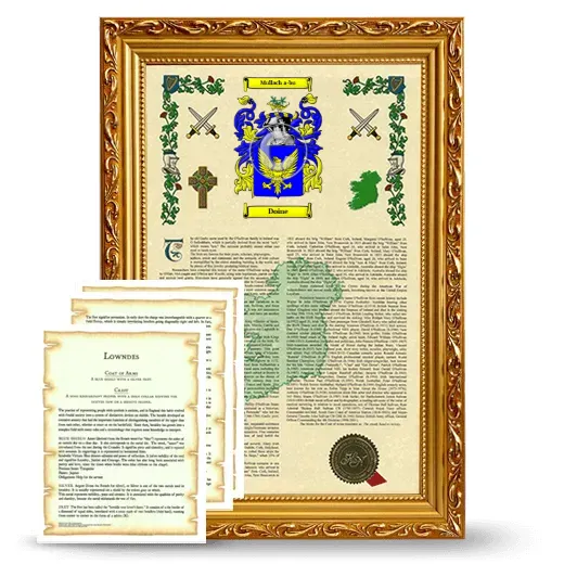 Doine Framed Armorial History and Symbolism - Gold