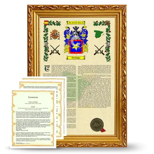 Domingo Framed Armorial History and Symbolism - Gold