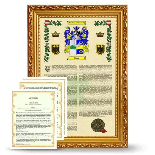 Eliser Framed Armorial History and Symbolism - Gold