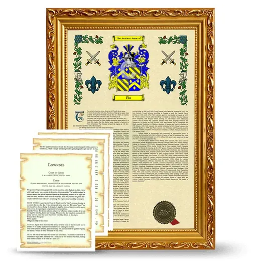 Fio Framed Armorial History and Symbolism - Gold