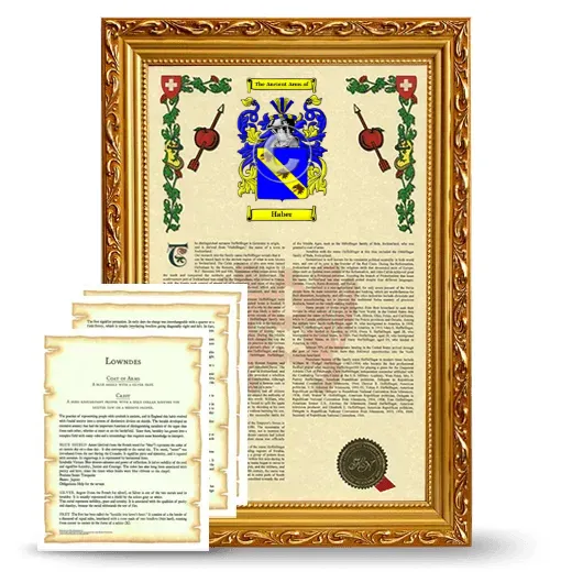 Haber Framed Armorial History and Symbolism - Gold