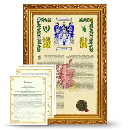 Hannah Framed Armorial History and Symbolism - Gold