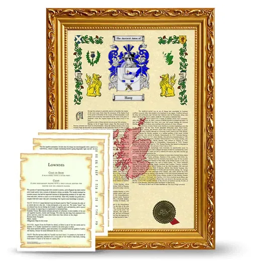 Hasy Framed Armorial History and Symbolism - Gold