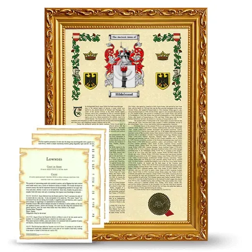Hildabrand Framed Armorial History and Symbolism - Gold