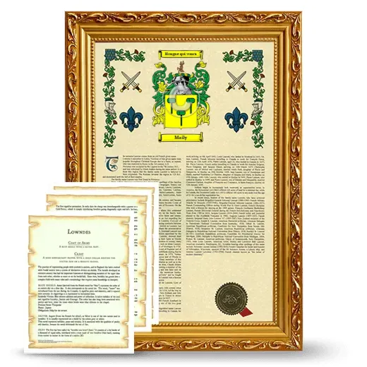 Maily Framed Armorial History and Symbolism - Gold