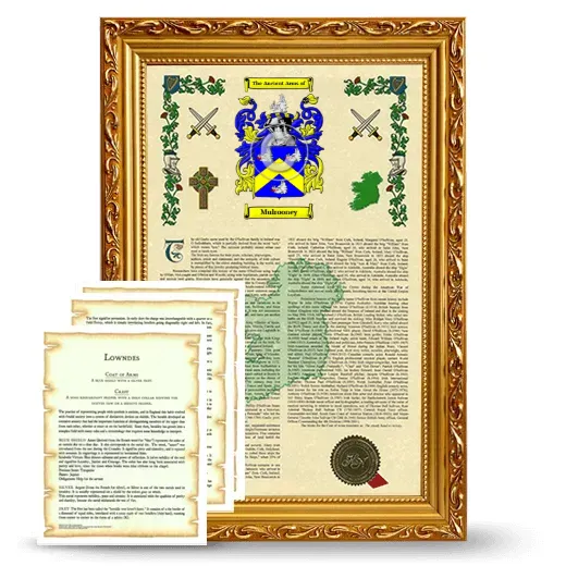 Mulrooney Framed Armorial History and Symbolism - Gold