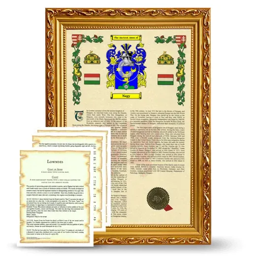 Nagy Framed Armorial History and Symbolism - Gold
