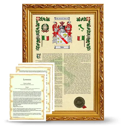 Nale Framed Armorial History and Symbolism - Gold
