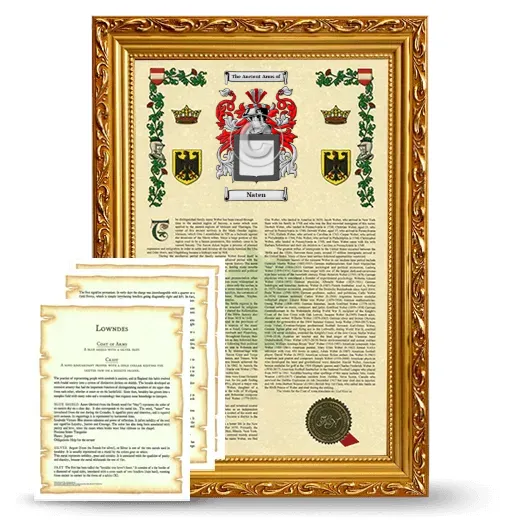 Naten Framed Armorial History and Symbolism - Gold