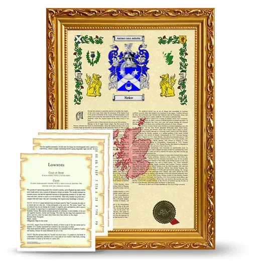 Neice Framed Armorial History and Symbolism - Gold