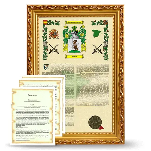 Oliva Framed Armorial History and Symbolism - Gold