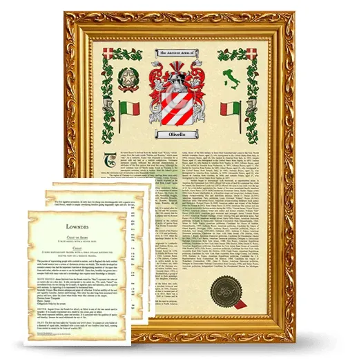 Olivello Framed Armorial History and Symbolism - Gold