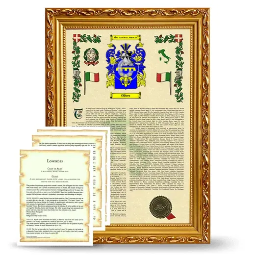 Oliver Framed Armorial History and Symbolism - Gold