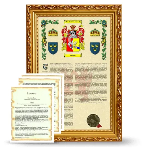 Olson Framed Armorial History and Symbolism - Gold