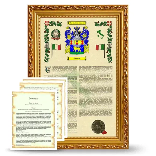 Passini Framed Armorial History and Symbolism - Gold