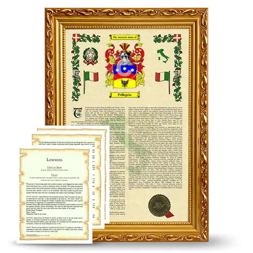 Pellegrin Framed Armorial History and Symbolism - Gold