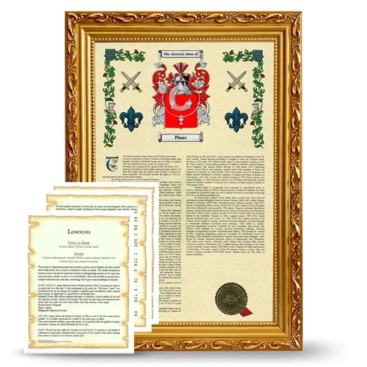 Pinar Framed Armorial History and Symbolism - Gold