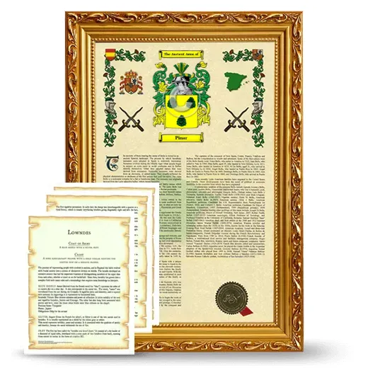 Pinar Framed Armorial History and Symbolism - Gold