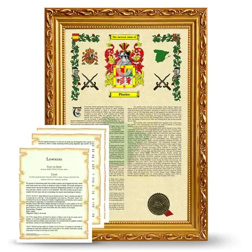 Pineiro Framed Armorial History and Symbolism - Gold