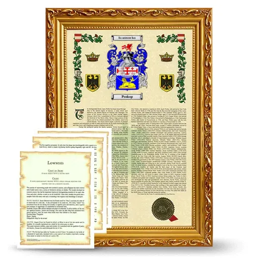 Prokop Framed Armorial History and Symbolism - Gold