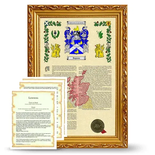 Rapson Framed Armorial History and Symbolism - Gold