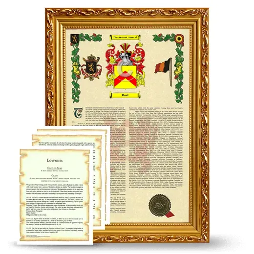 Rost Framed Armorial History and Symbolism - Gold