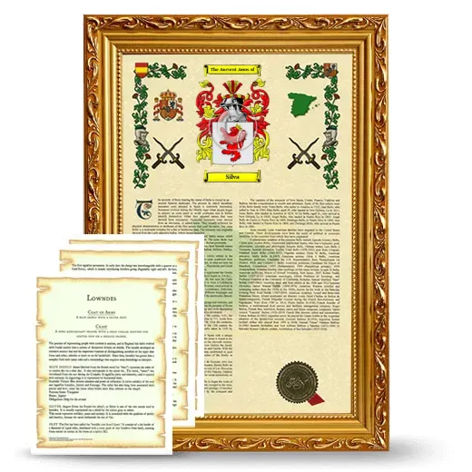 Silva Framed Armorial History and Symbolism - Gold