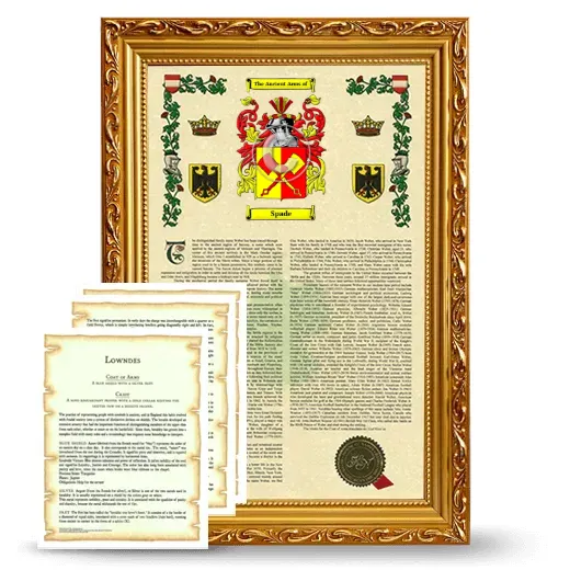 Spade Framed Armorial History and Symbolism - Gold