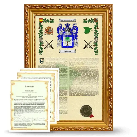 Spinoza Framed Armorial History and Symbolism - Gold