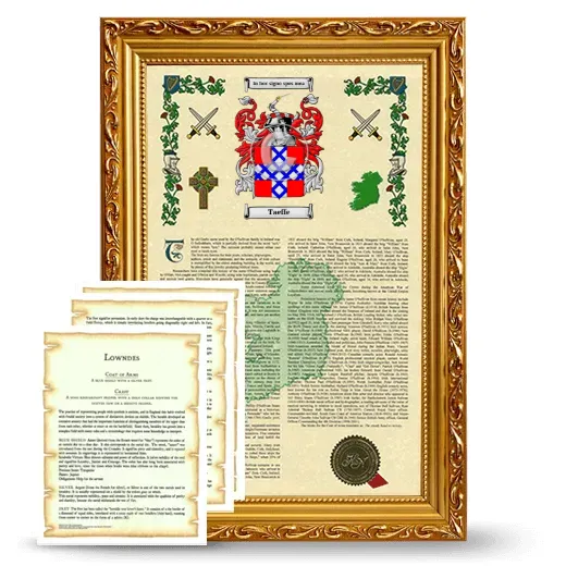 Taeffe Framed Armorial History and Symbolism - Gold