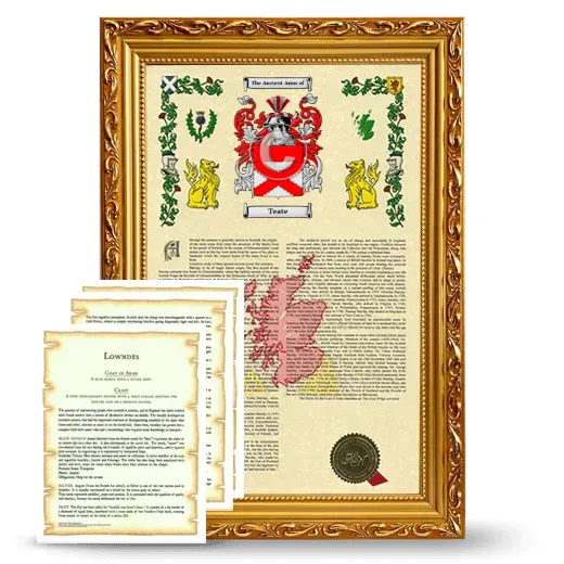 Teate Framed Armorial History and Symbolism - Gold