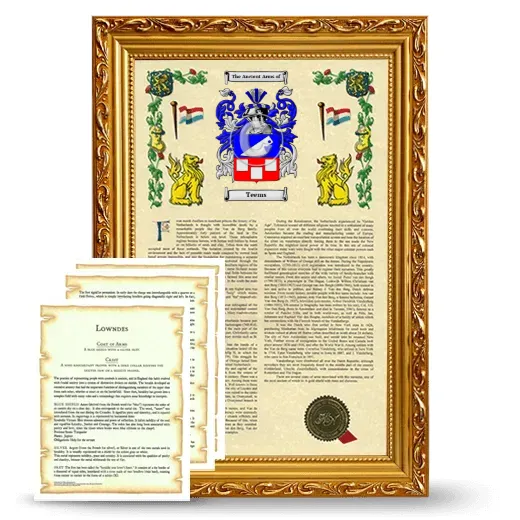 Teems Framed Armorial History and Symbolism - Gold