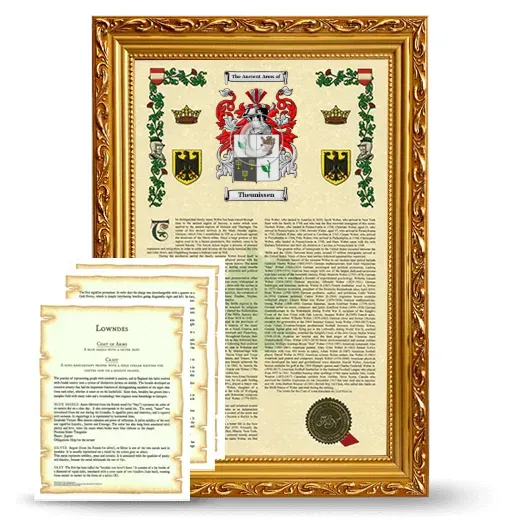 Theunissen Framed Armorial History and Symbolism - Gold