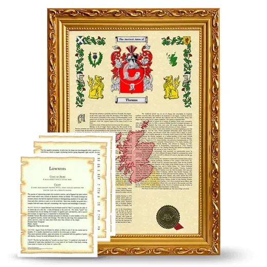 Theuns Framed Armorial History and Symbolism - Gold