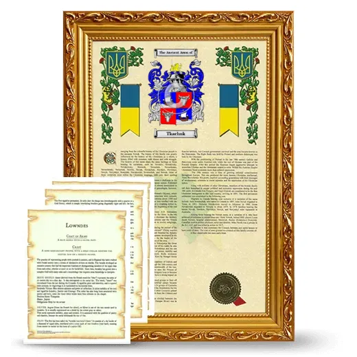 Tkachuk Framed Armorial History and Symbolism - Gold