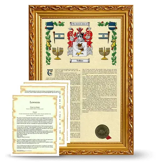 Tobias Framed Armorial History and Symbolism - Gold