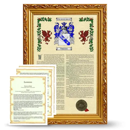 Tomoson Framed Armorial History and Symbolism - Gold