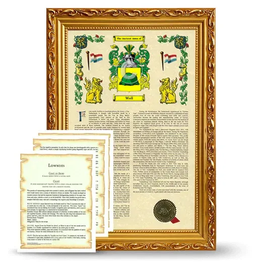 Wall Framed Armorial History and Symbolism - Gold