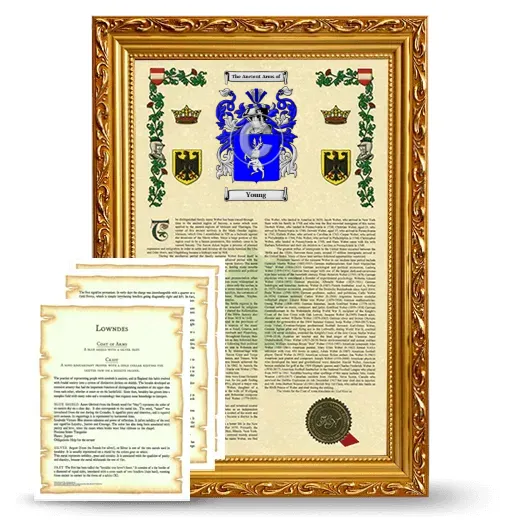 Young Framed Armorial History and Symbolism - Gold