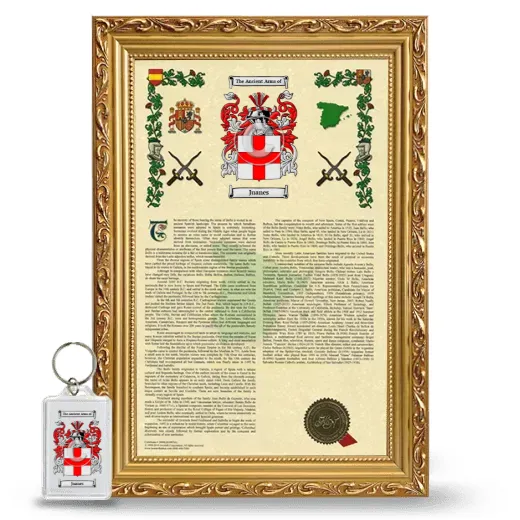 Juanes Framed Armorial History and Keychain - Gold