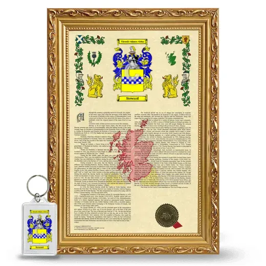 Steward Framed Armorial History and Keychain - Gold